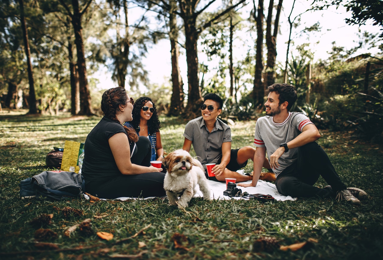Perfect Outdoor Feast with Your Family | Veteran Car Donations