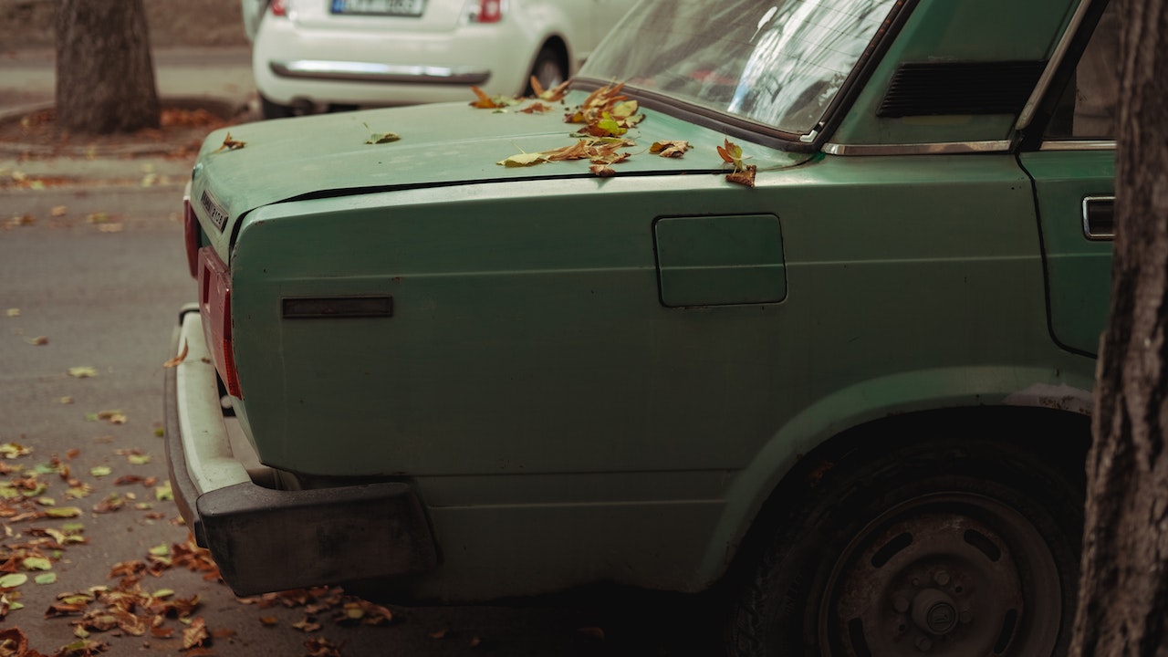 Fallen Leaves over a Green Car Trunk Door | Veteran Car Donations
