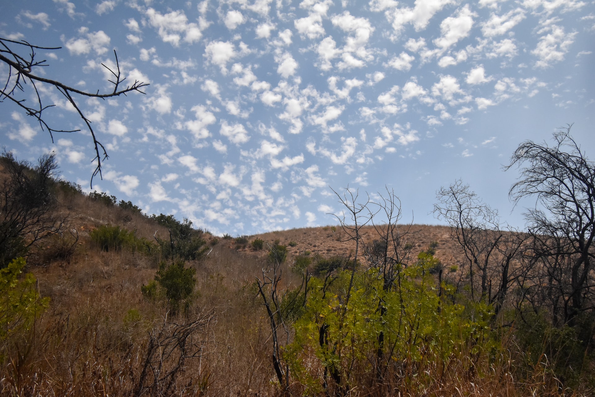 Beautiful sky in LA by Escondido Falls | Veteran Car Donations