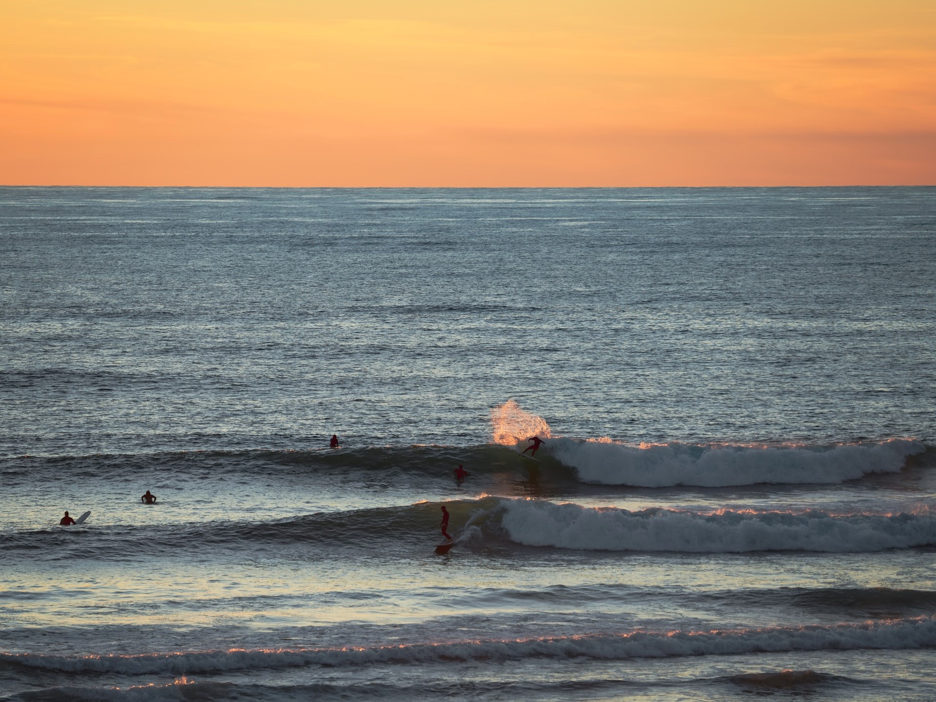 people in sea during golden hour photo | Veteran Car Donations