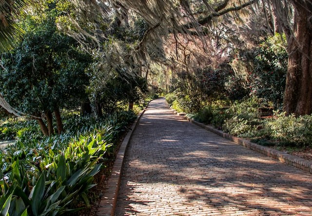 Brick Pathway in Alfred B. Maclay Gardens at Tallahassee FL | Veteran Car Donations
