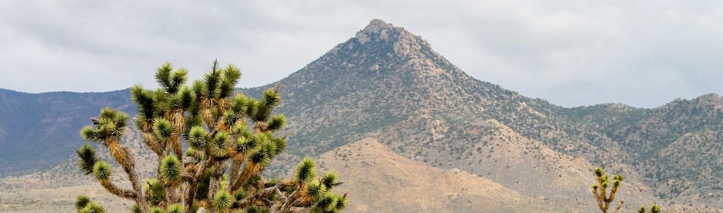 Mountains in Phoenix Arizona - VeteranCarDonations.org