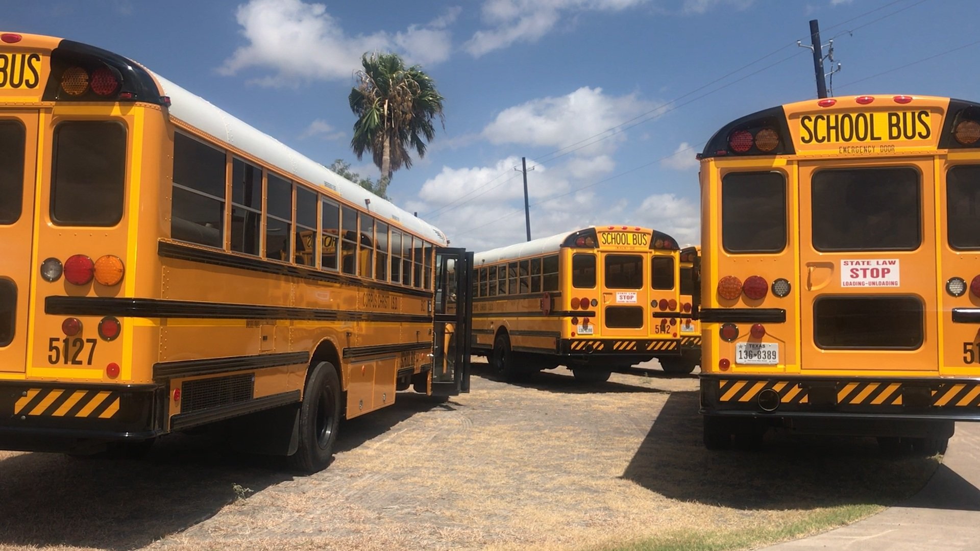 School Bus in Lake Jackson Texas - VeteranCarDonations.org