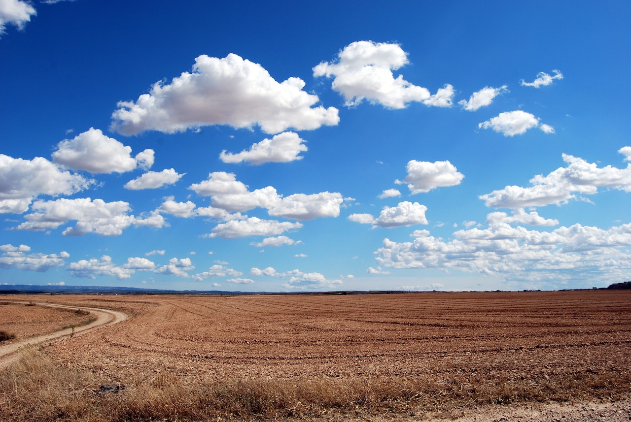 Brown Field and Blue Sky | Veteran Car Donations