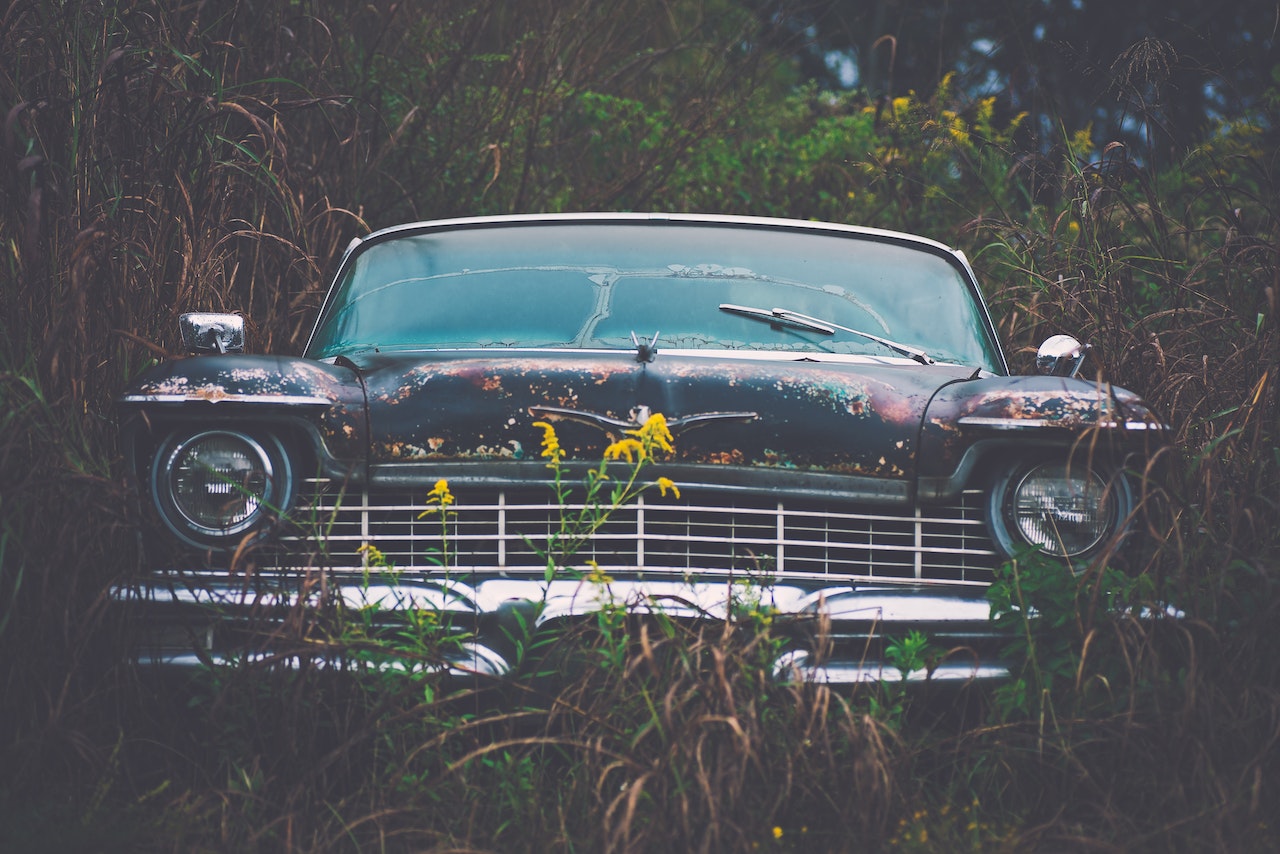 Vintage Car Parked Besides Green Plants | Veteran Car Donations 