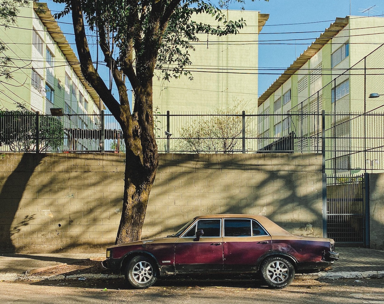 Old sedan parked beside a tree | Veteran Car Donations