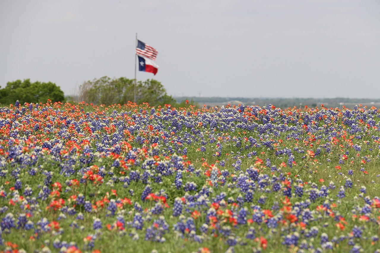 US and TX flag in a field | Veteran Car Donations