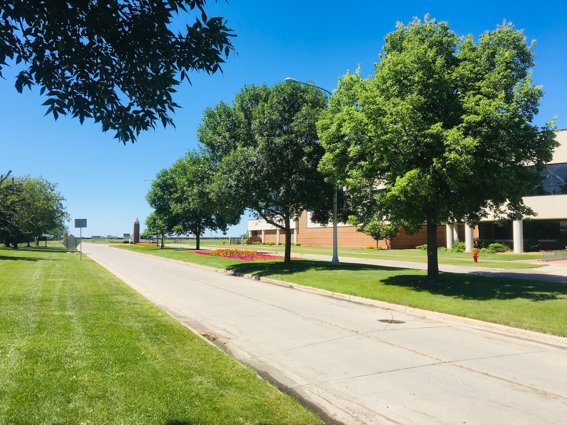 green trees on green grass field during daytime photo | Veteran Car Donations