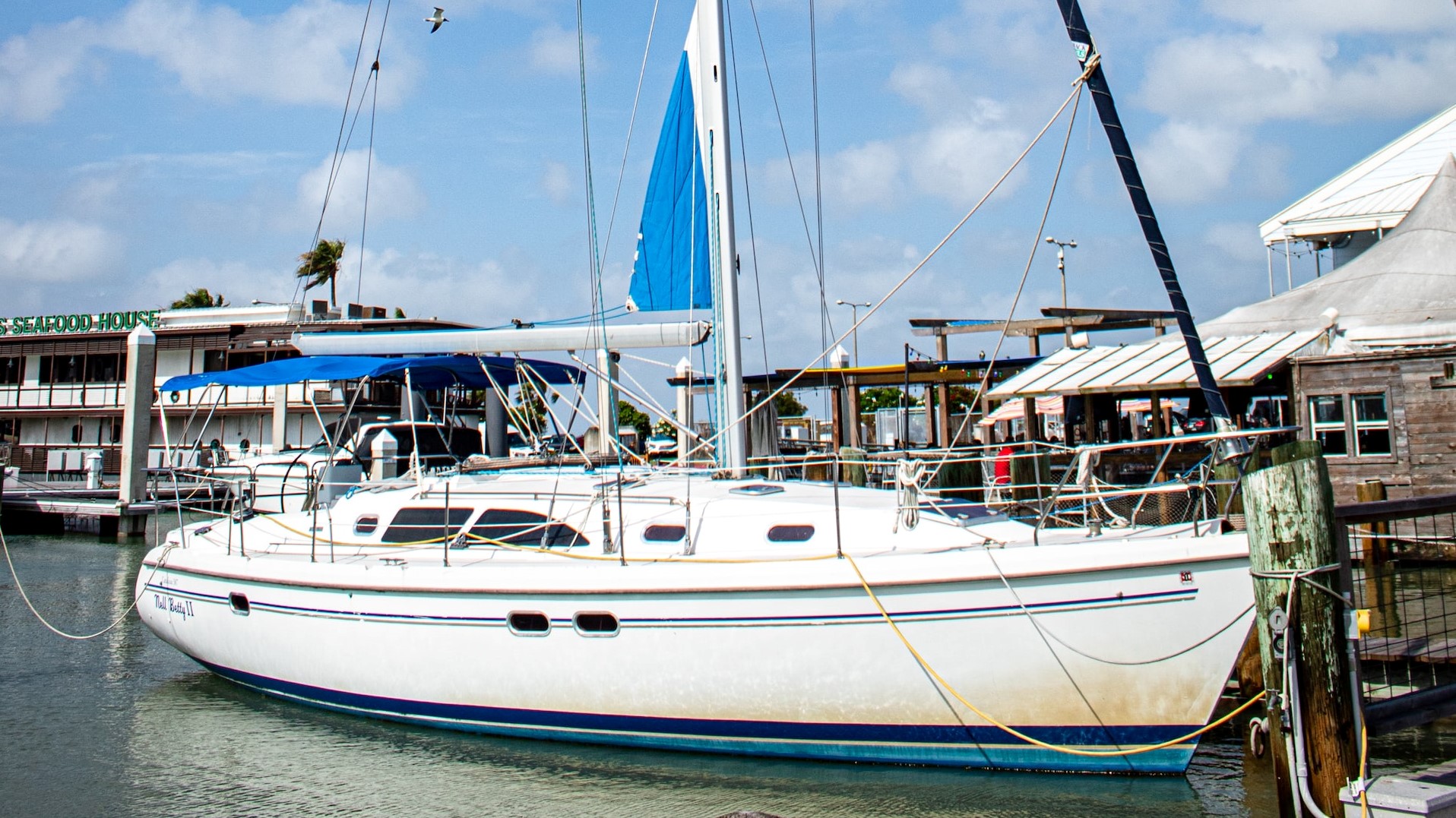 A sailboat is moored in the Corpus Christi Marina | Veteran Car Donations