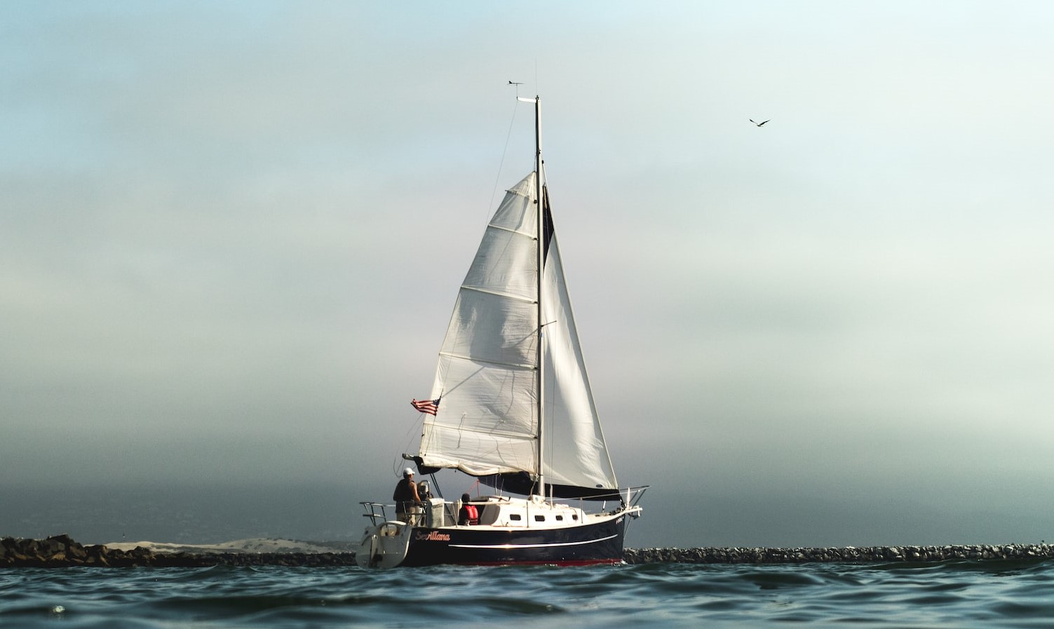 Caught in the harbor of Morro Bay. They sailed out to the end of the bay and turned right back around | Veteran Car Donations