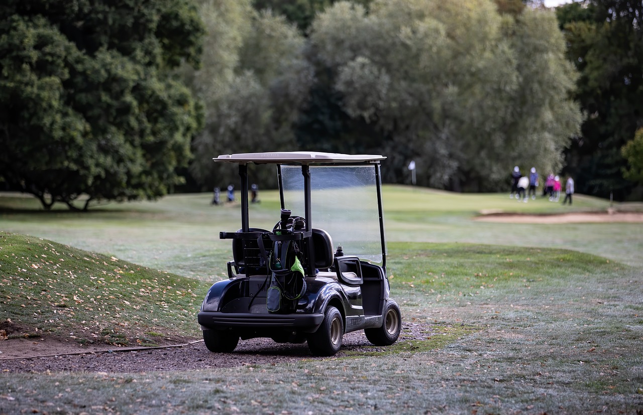 Golf Sport Buggy | Veteran Car Donations