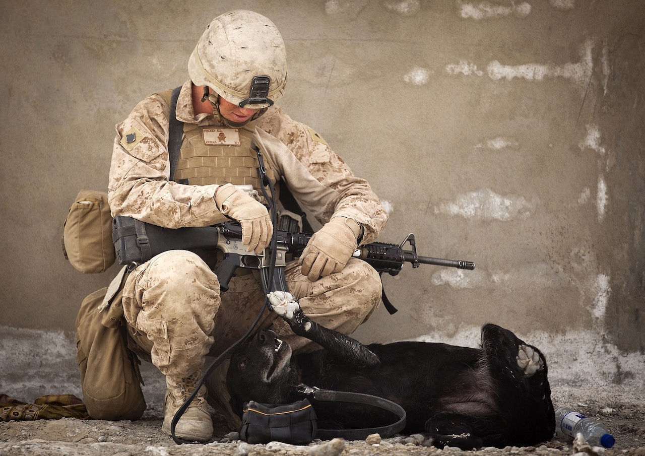 Soldier Sitting on Rock While Playing With Black Dog | Veteran Car Donations