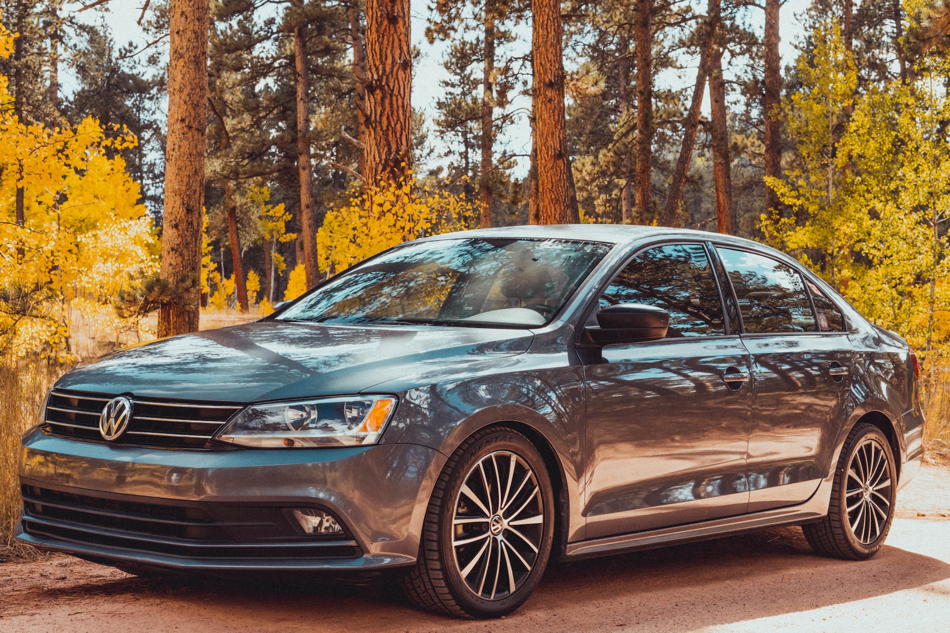 VW Sedan parked near trees | Veteran Car Donations