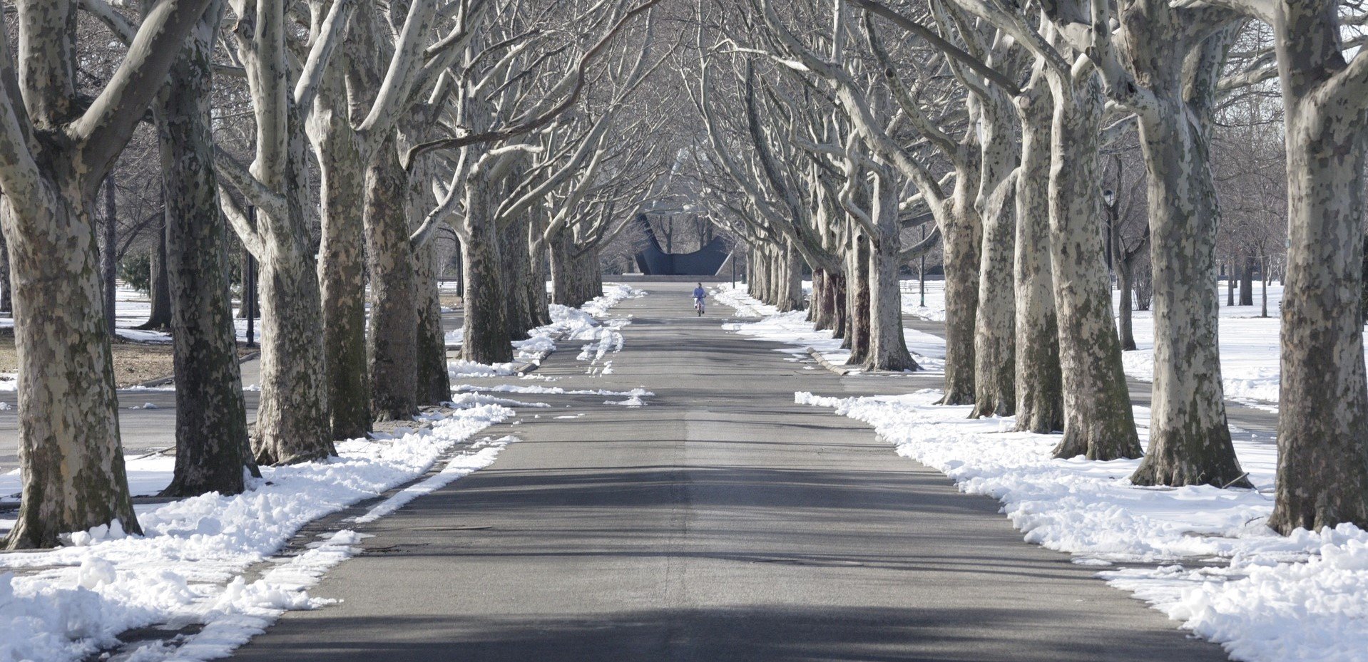 Snowy Street in New York - VeteranCarDonations.org