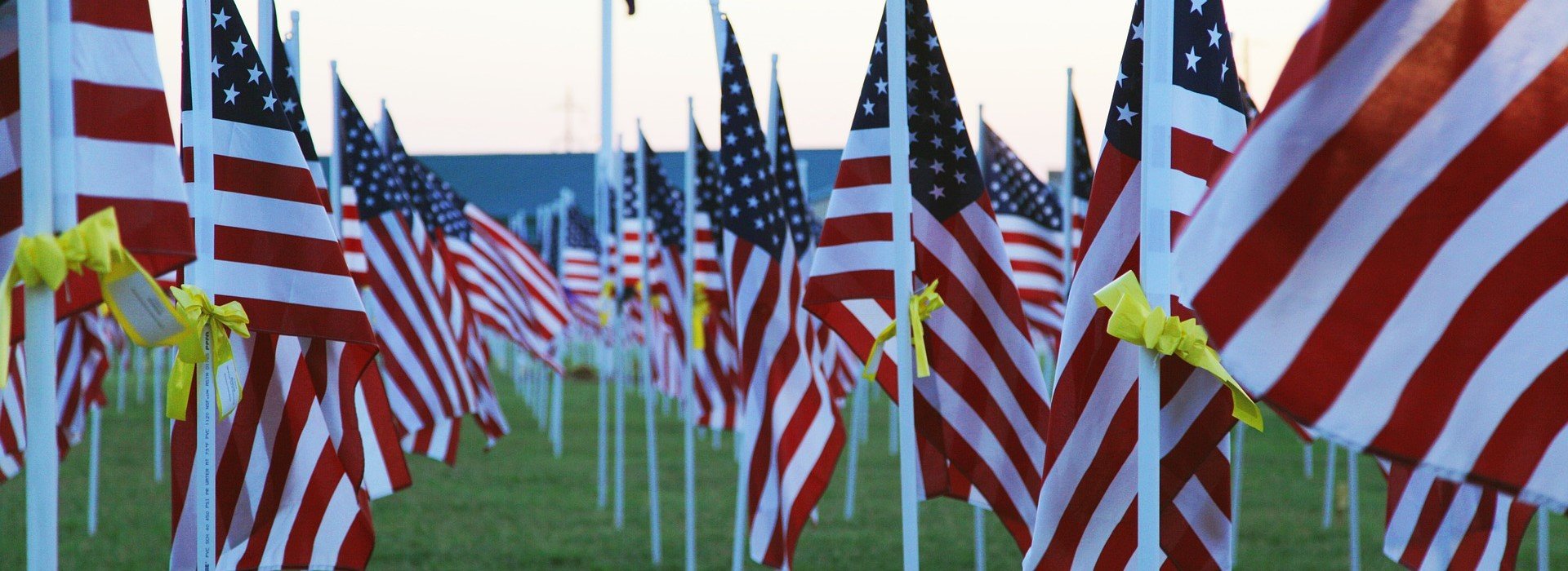 Memorial Day Flags in Washington DC - VeteranCarDonations.org