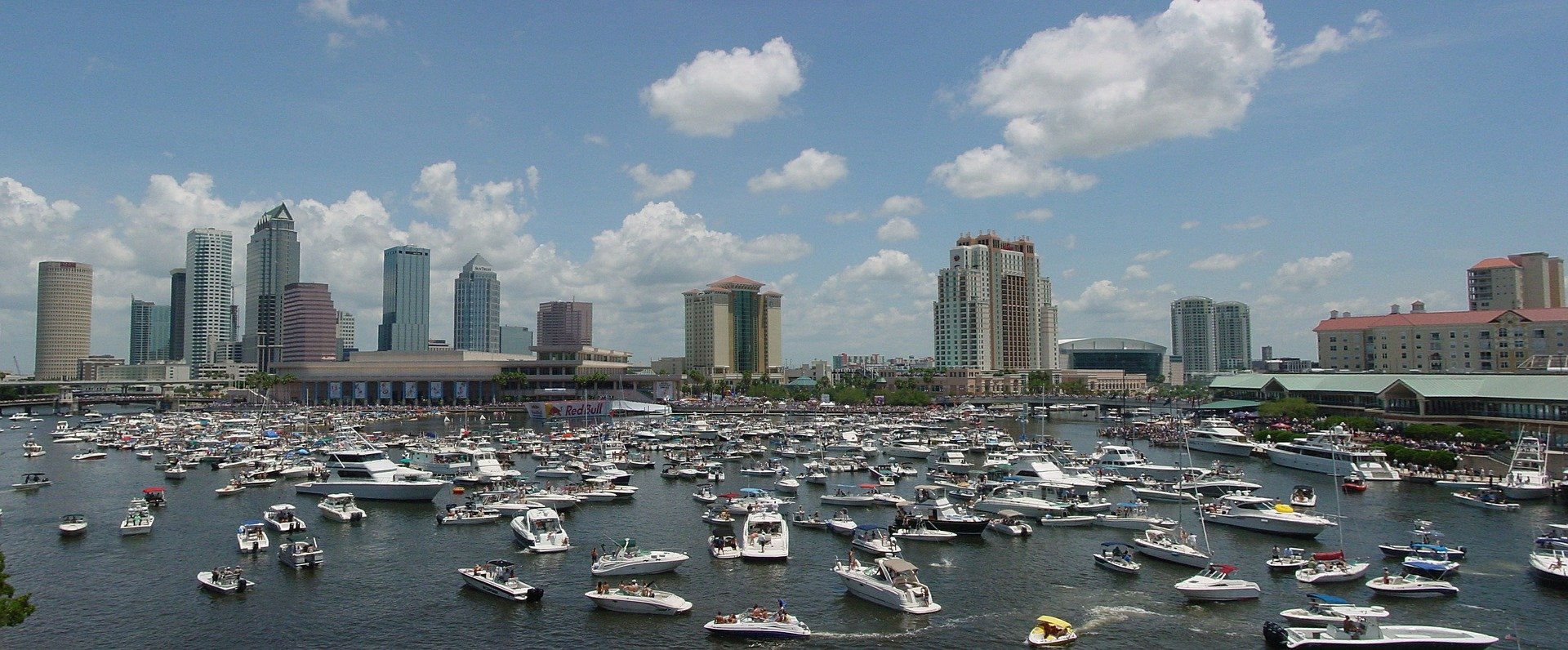 Busy Harbor in Tampa