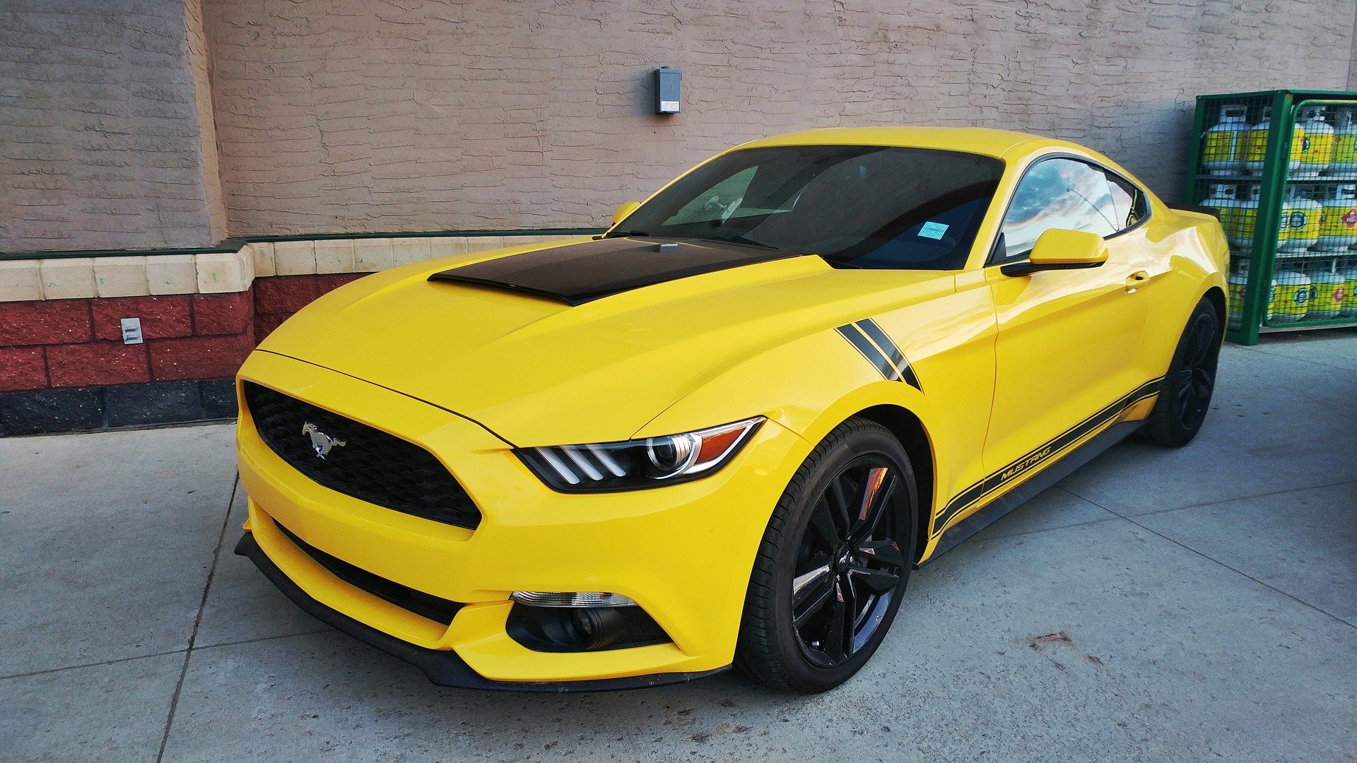 Yellow Mustang in Spring