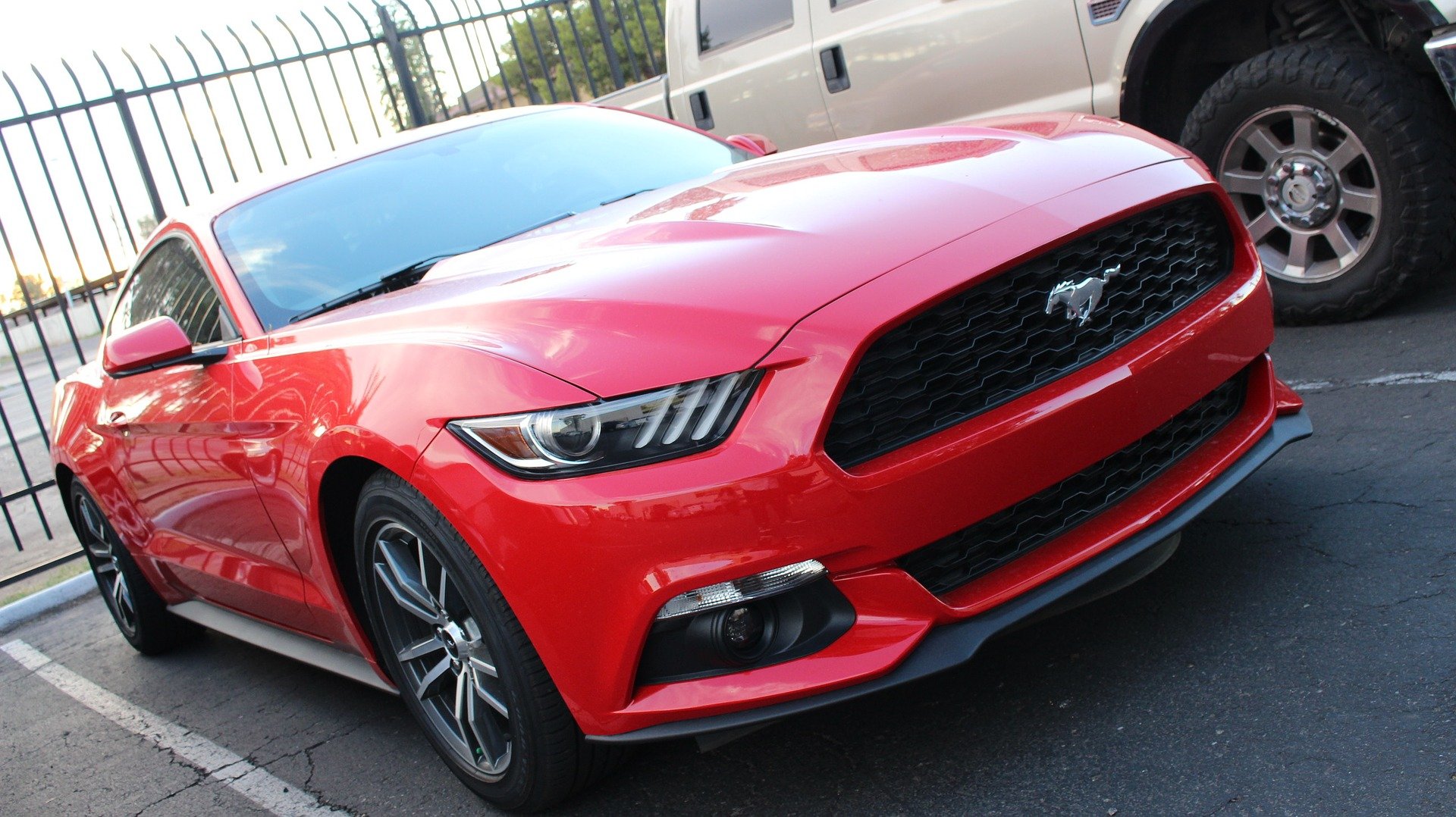 Red Mustang in Gainesville