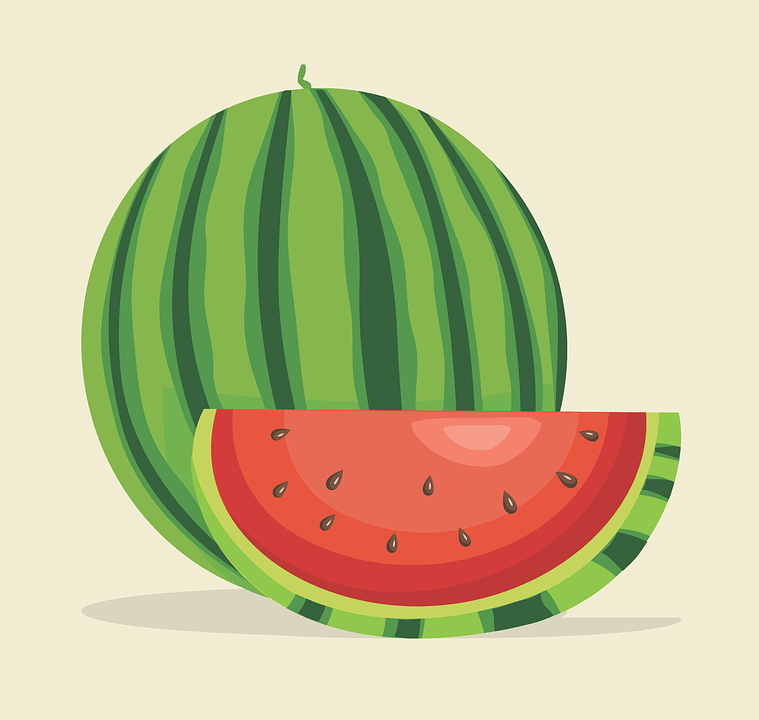 Watermelon Vector Art - VeteranCarDonations.org