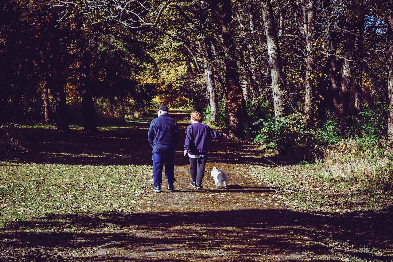 Two Old Man Walking on Road With Dog | Veteran Car Donations