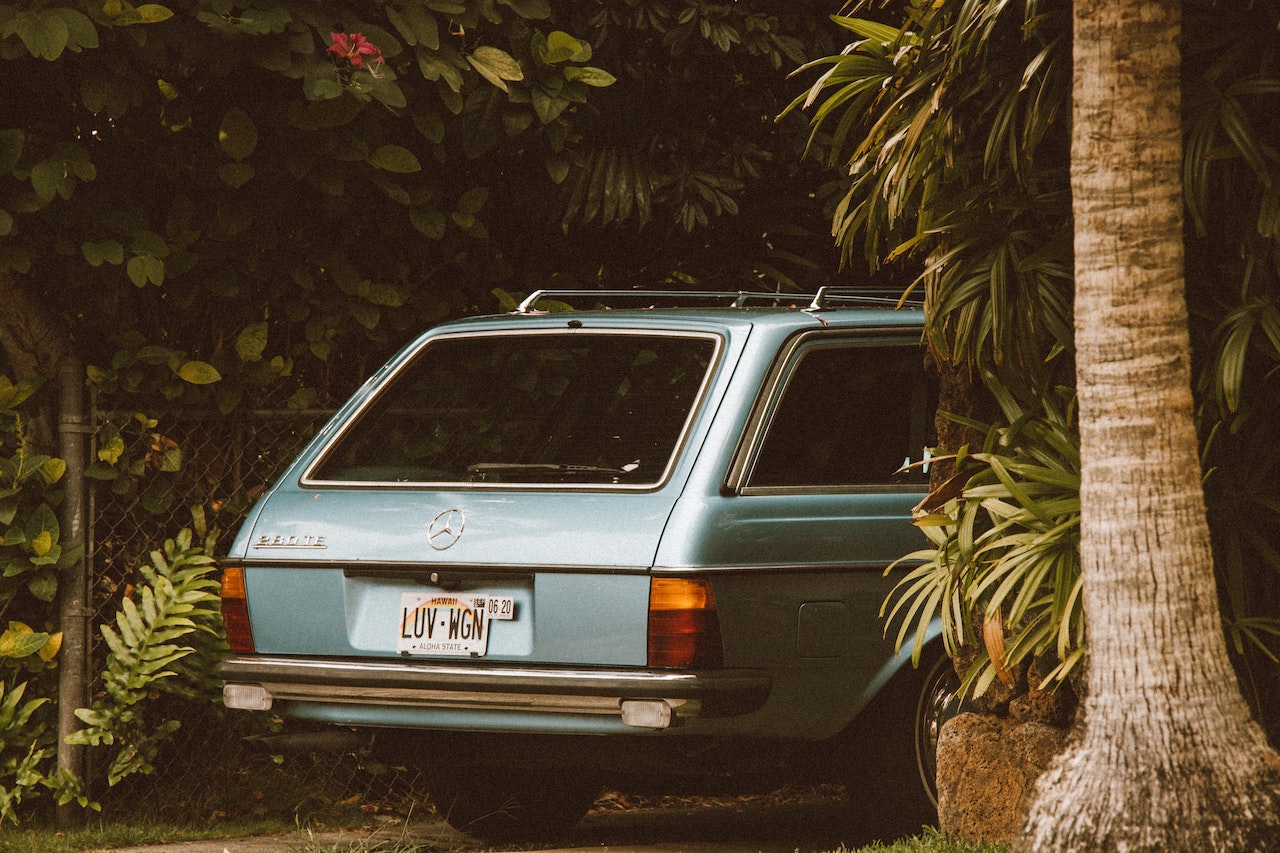 Mercedes Benz Car Parked Beside Garden Plants | Veteran Car Donations
