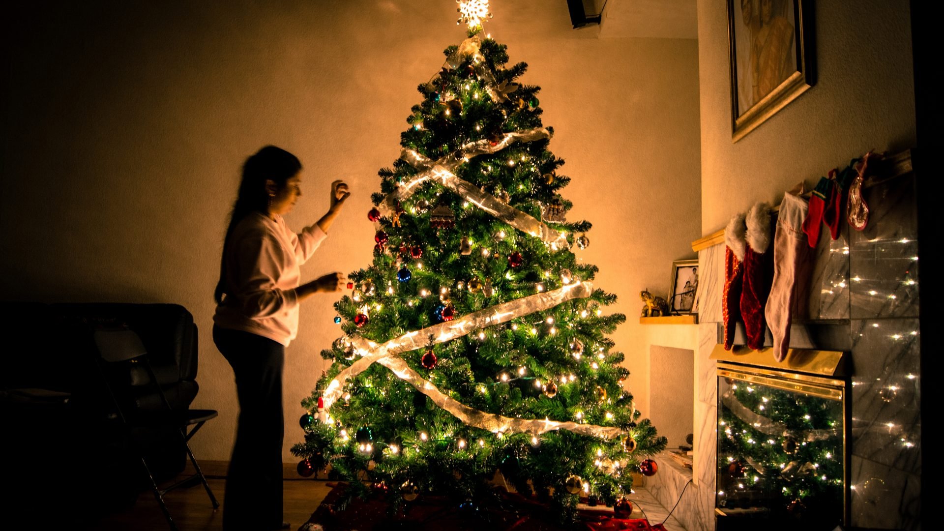 Christmas Tree | Veteran Car Donations