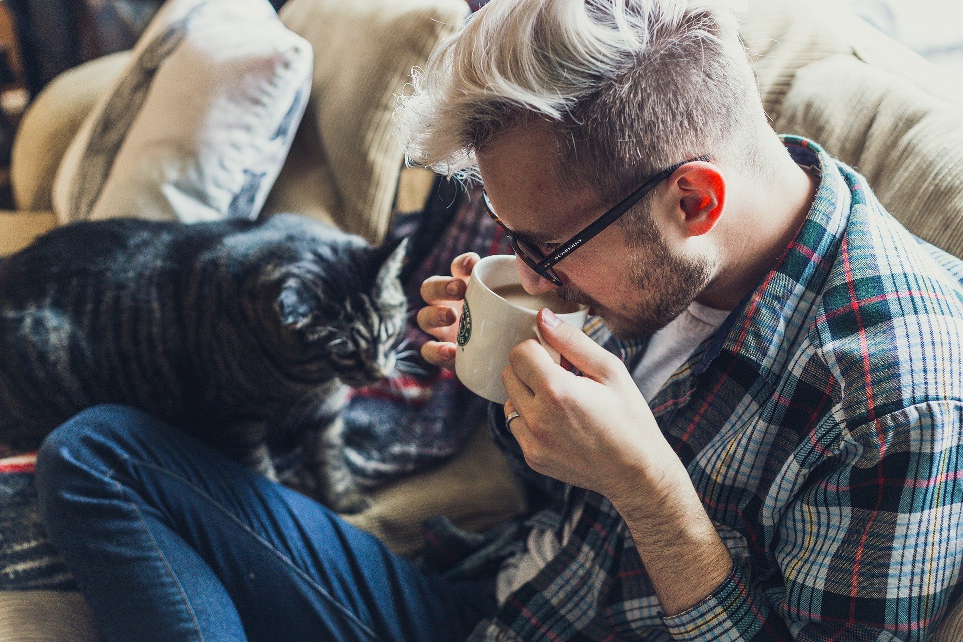 Man with his Pet Cat on a Sofa | Veteran Car Donations