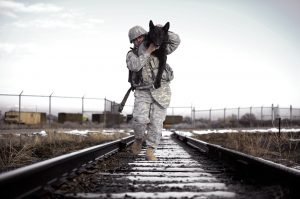 Military Dog Companion