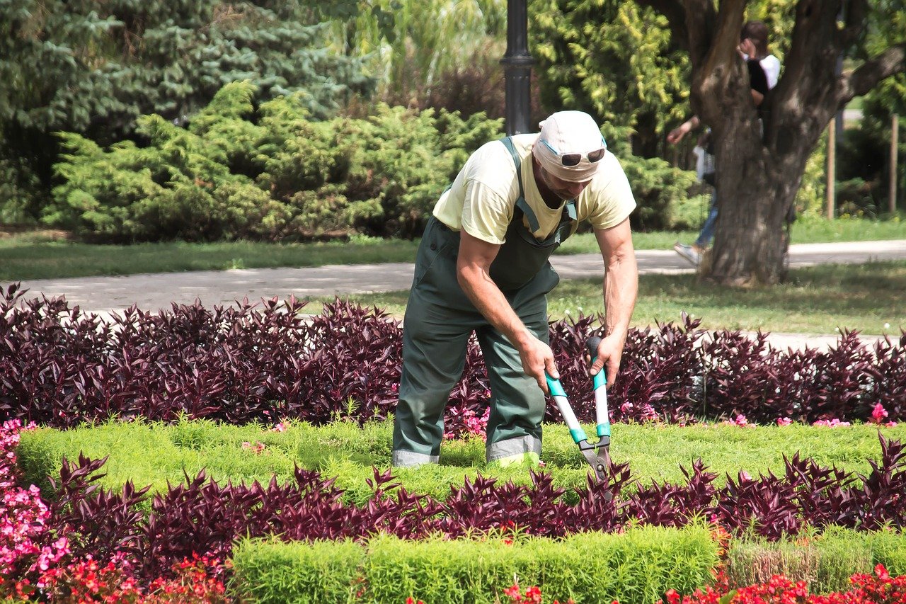 Therapeutic Gardening for Veterans | Veteran Car Donations