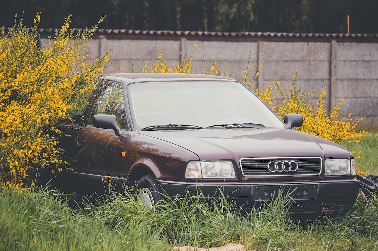 Photo of Audi Parked on Grass | Veteran Car Donations
