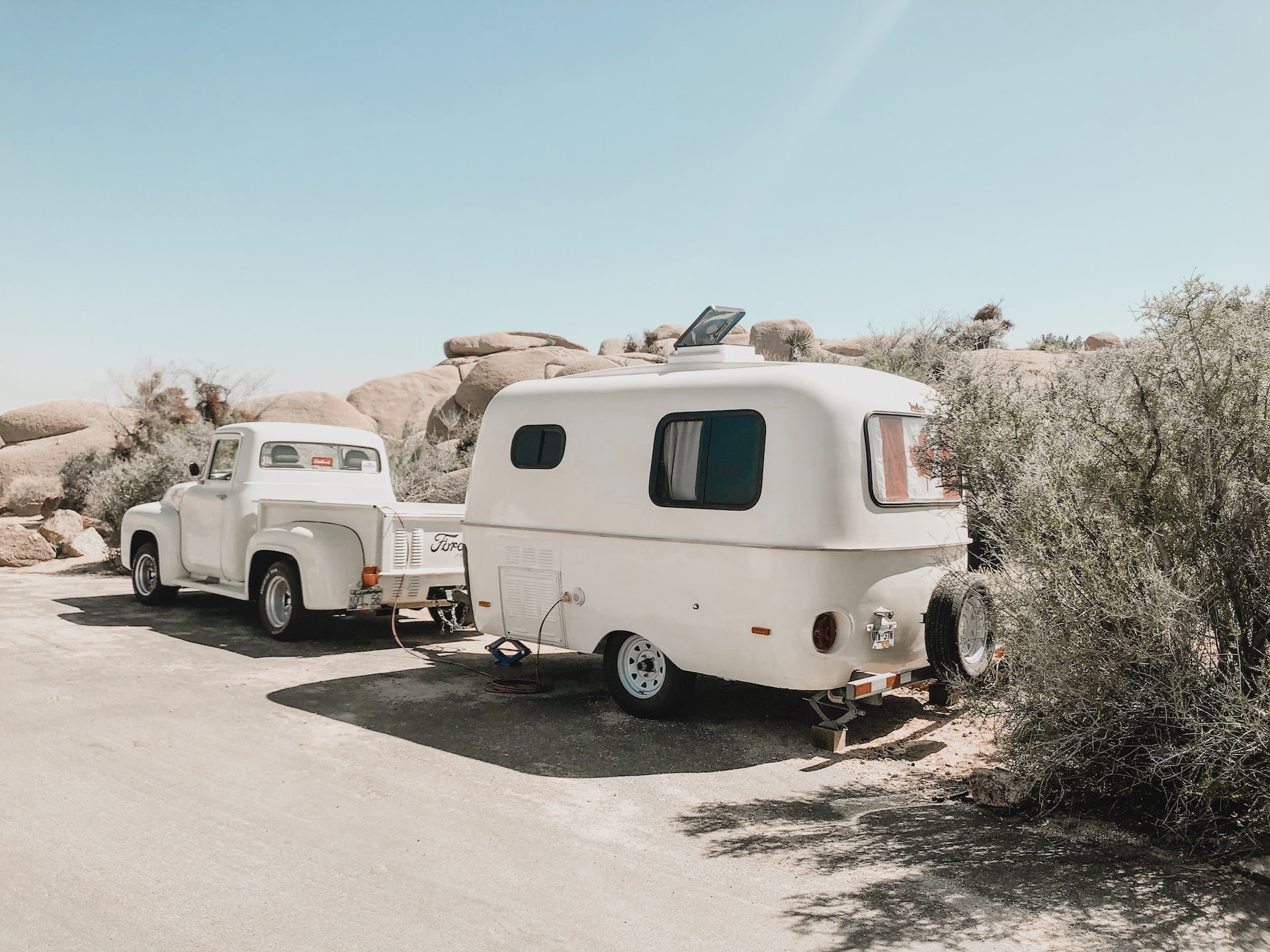 white vehicle parked near plant photo | Veteran Car Donations