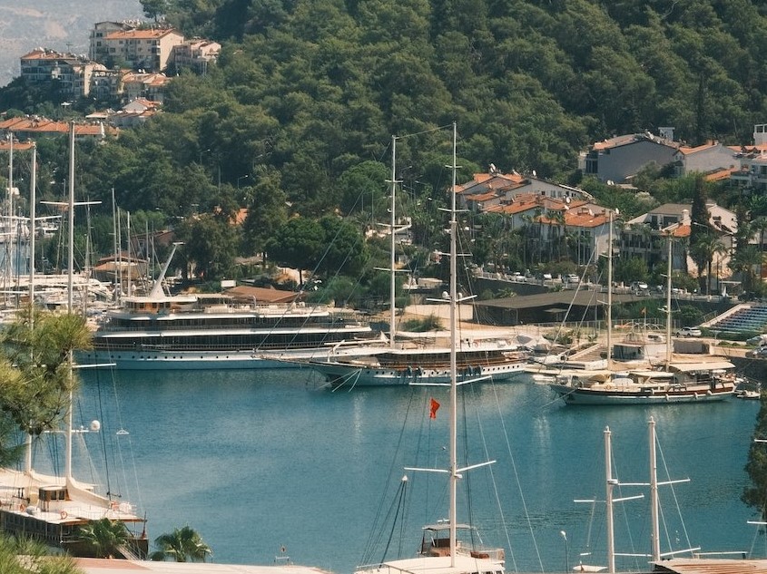 Harbour Surrounded by Mountains and Forest | Veteran Car Donations