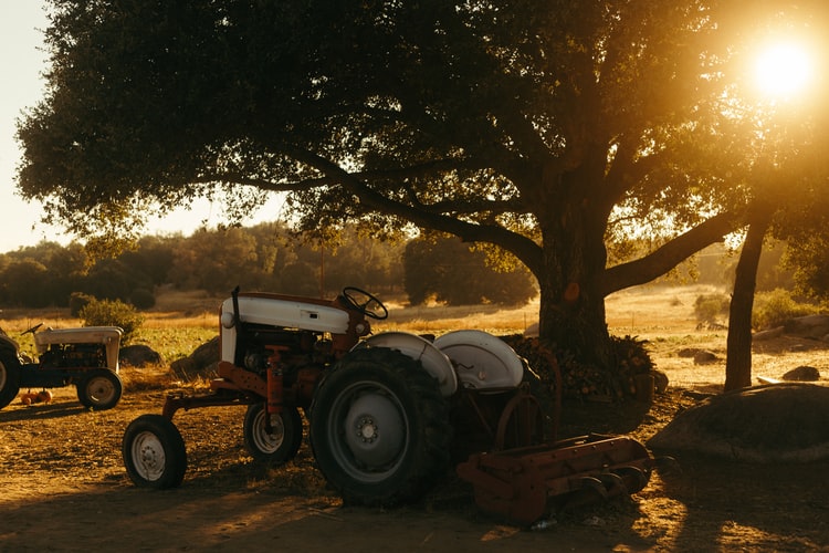 White Oldtimer Tractor | Veteran Car Donations