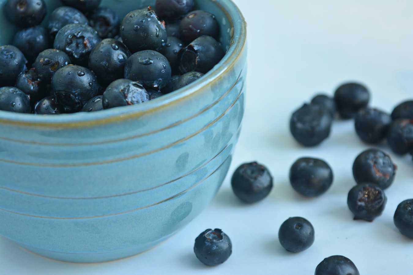 Fresh Blueberries in a Bowl | Veteran Car Donations