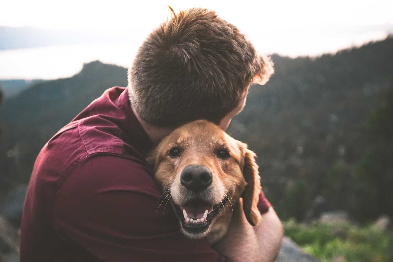 Man Hugging a Dog | Veteran Car Donations