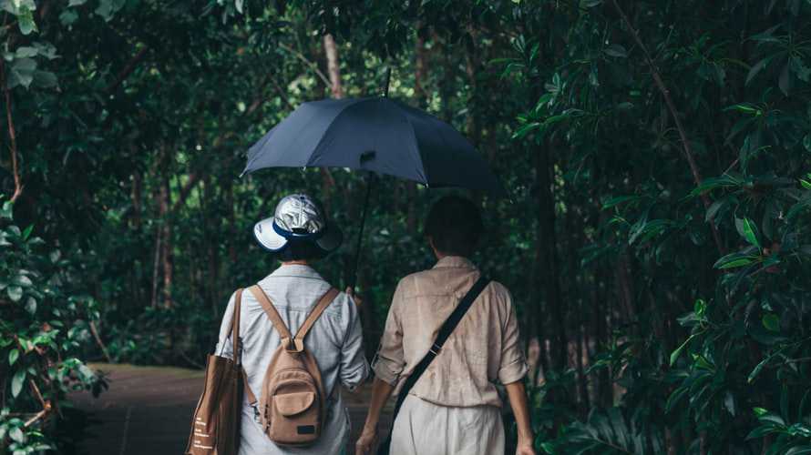 Sharing an Umbrella | Veteran Car Donations