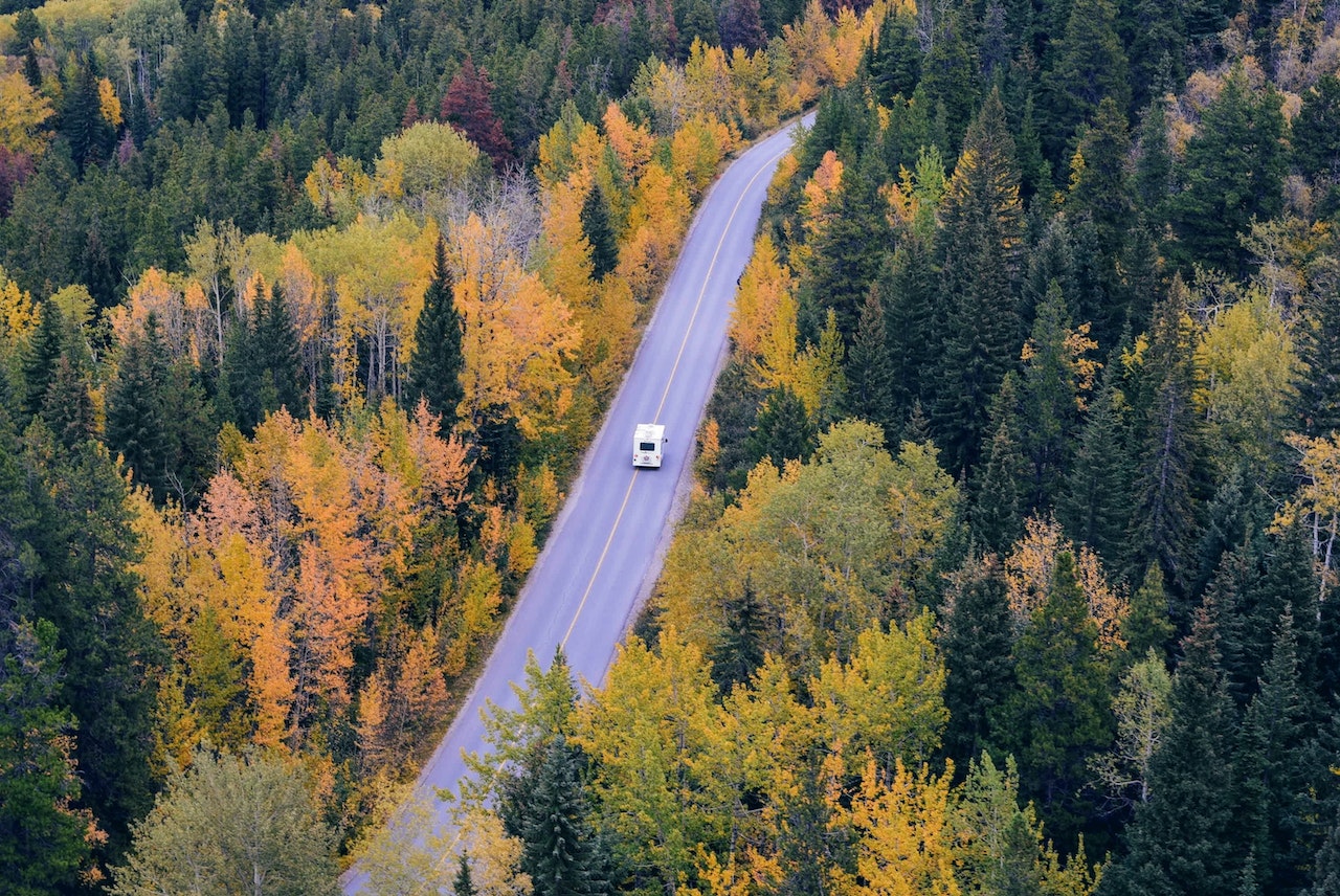 White Car Traveling Near Trees during Daytime | Veteran Car Donations
