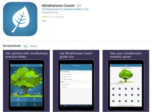 Mindfulness Coach App for iOS | Veteran Car Donations