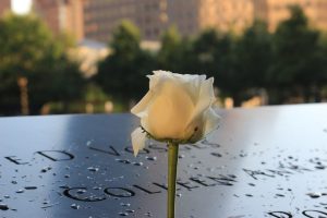 White Rose on 911 Memorial | Veteran Car Donations
