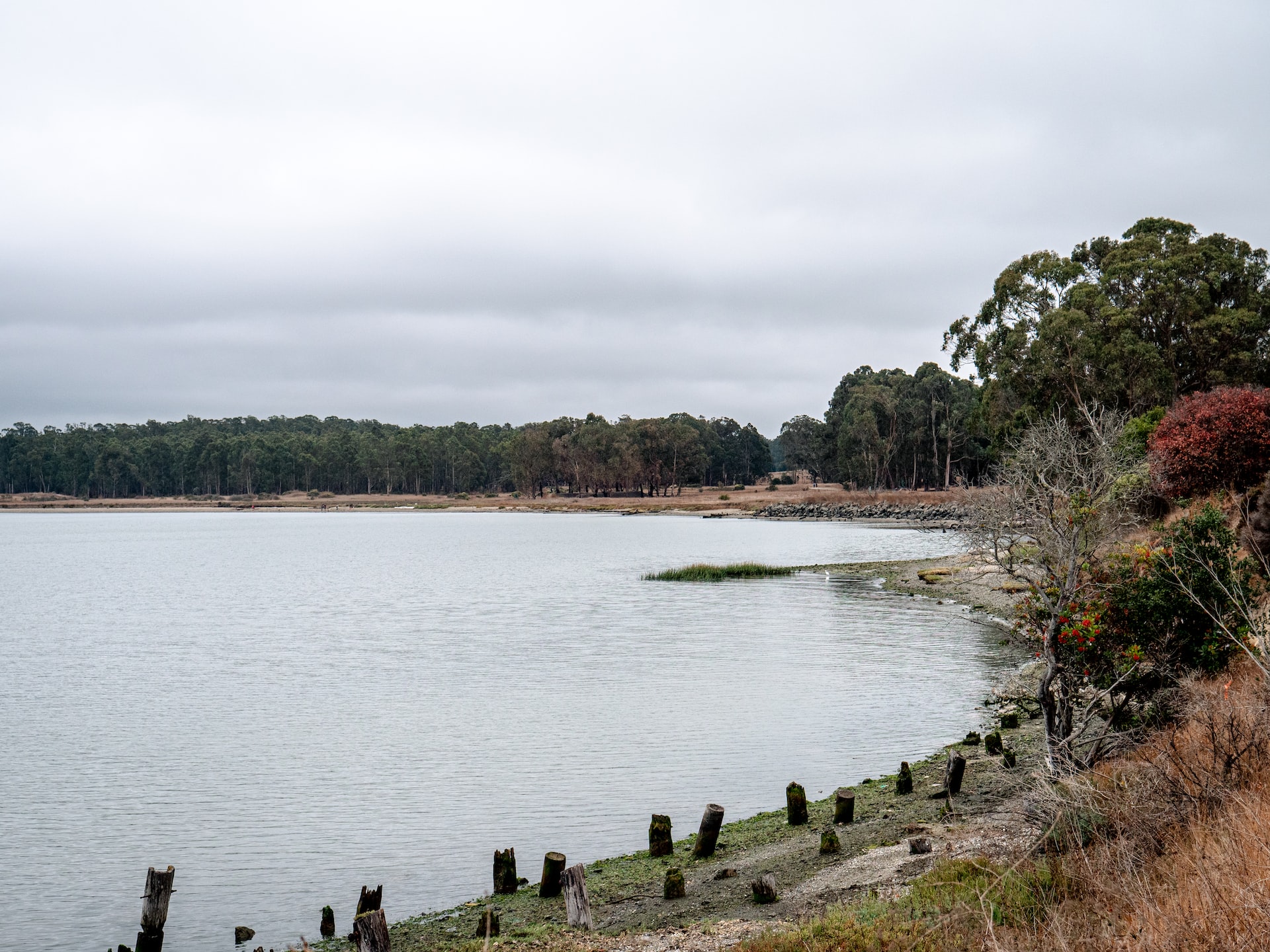 Point Pinole in Richmond | Veteran Car Donations