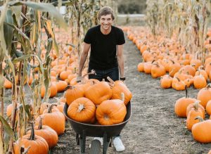 Pumpkin Harvest on Halloween | Veteran Car Donations