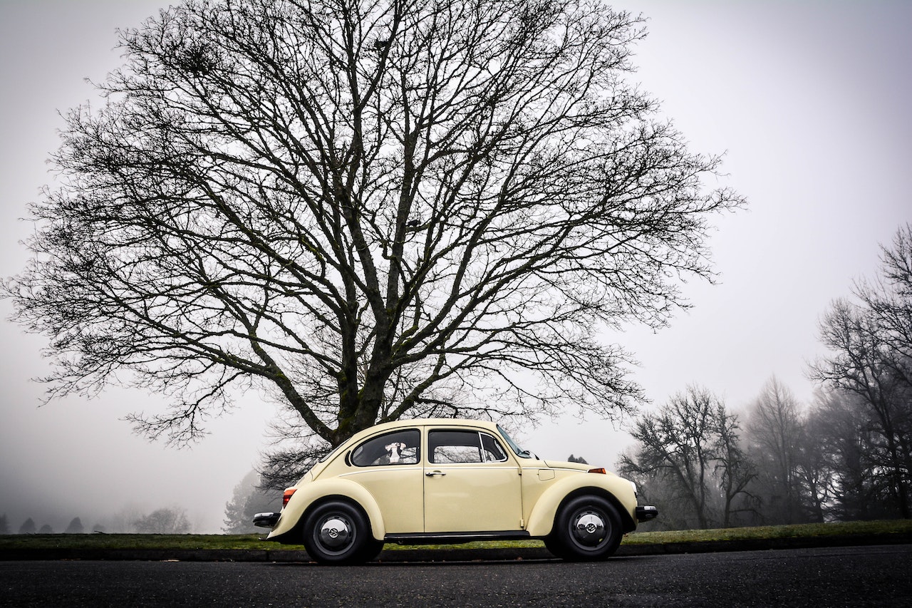 A Volkswagen Beetle Parked under the Tree | Veteran Car Donations
