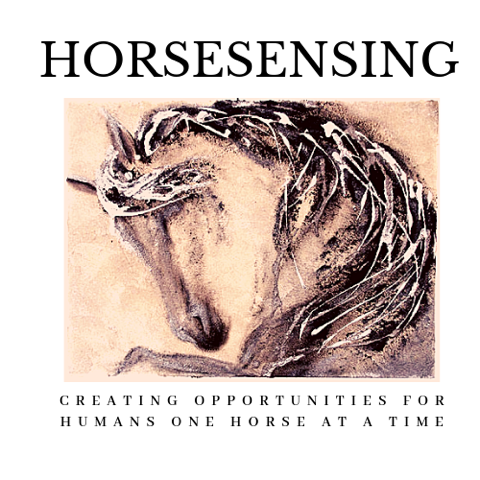 HorseSensing Logo | Veteran Car Donations