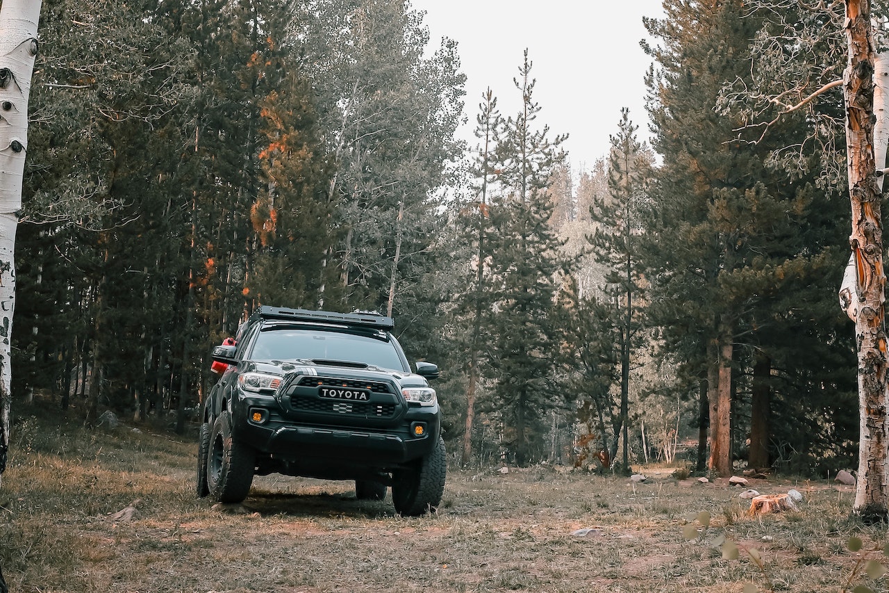 Black Toyota Pickup in a Forest | Veteran Car Donations