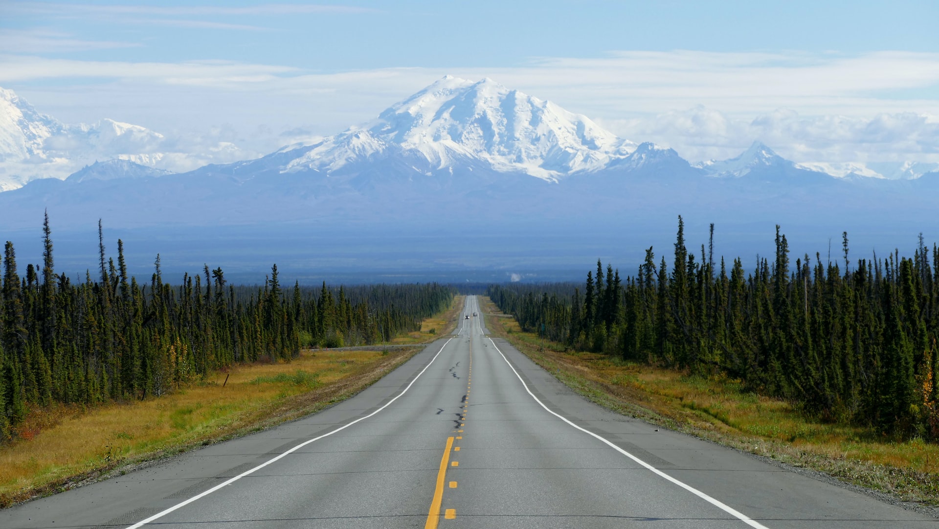 Straight Road Surrounded by Pine Trees | Veteran Car Donations