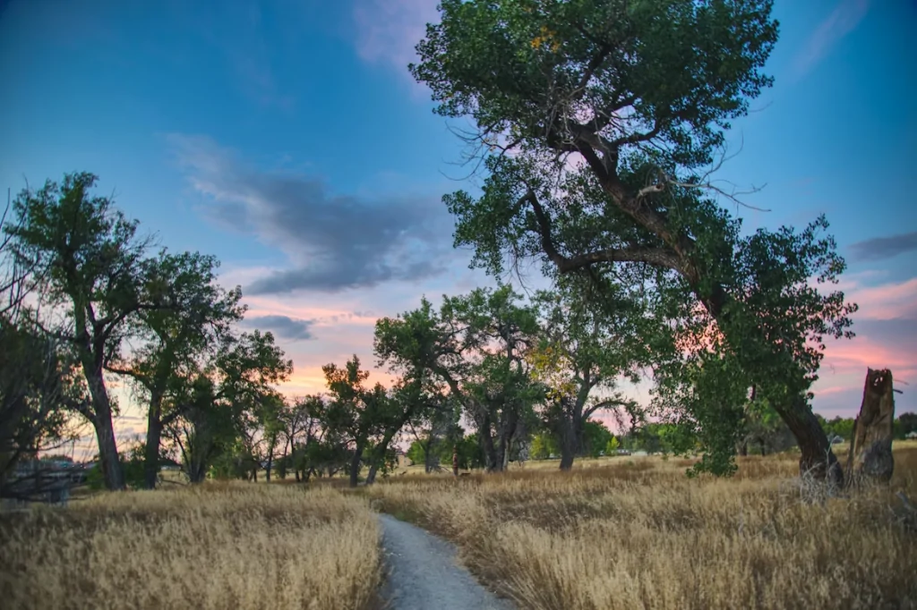 A Dirt Path in a Grassy Field with Trees in the Background in Aurora, Colorado
