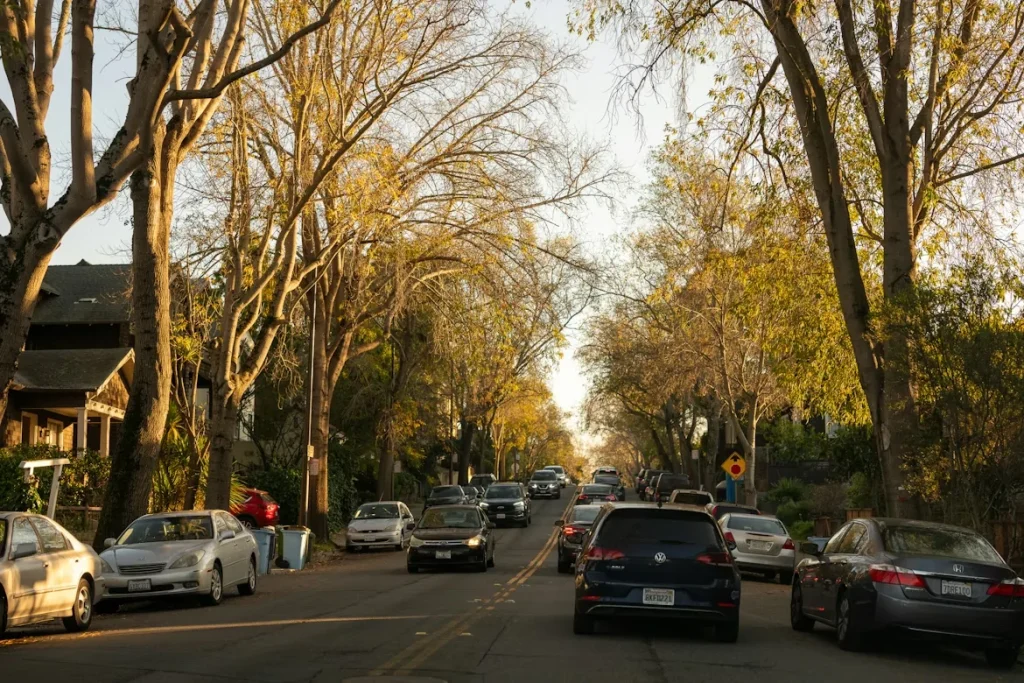 A street in Berkeley, CA filled with lots of traffic next to trees