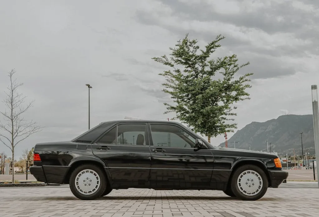 Black Classic Car Parked Beside Green Tree