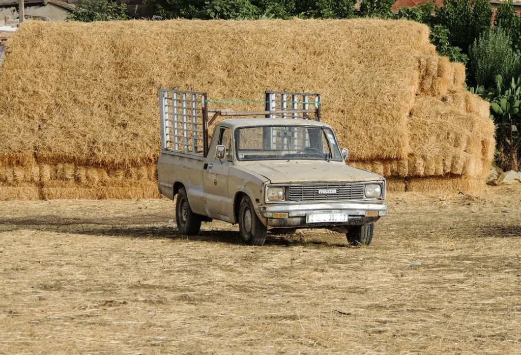 Old Mazda pickup on farm