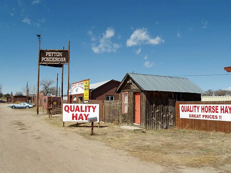 Businesses along the main road in Peyton, Colorado